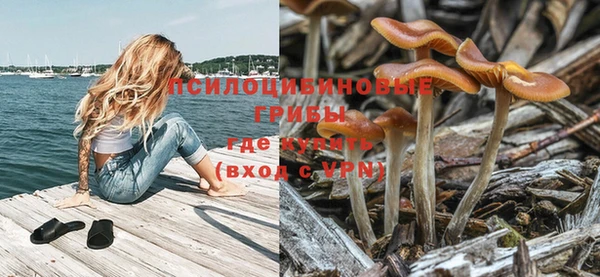 бутик Абаза