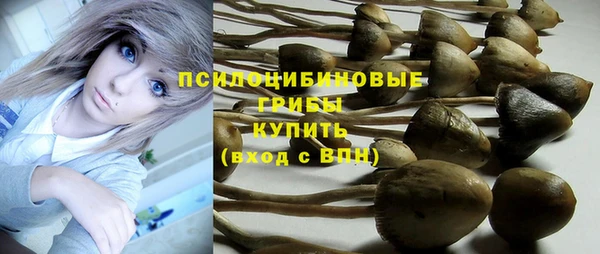 кокс Абдулино