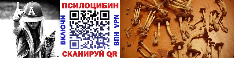 Псилоцибиновые грибы MAGIC MUSHROOMS Болохово