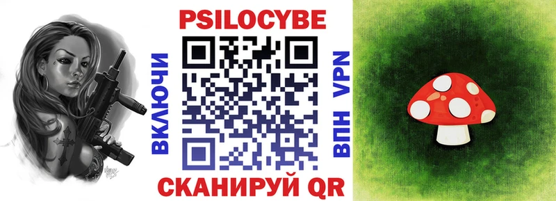 shop какой сайт  Болохово  Галлюциногенные грибы прущие грибы  гидра tor 